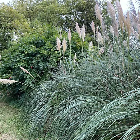 Appartement Fenil T3, Maison Avec Jardin Bellegarde (Gers)