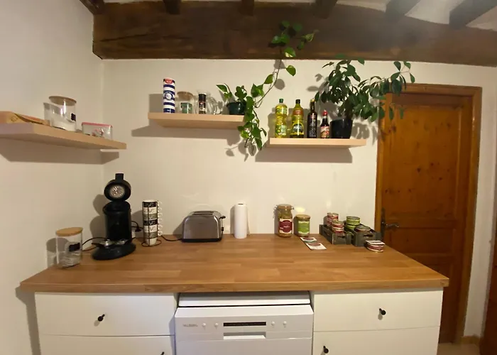 Fenil T3, Maison Avec Jardin Апартаменты