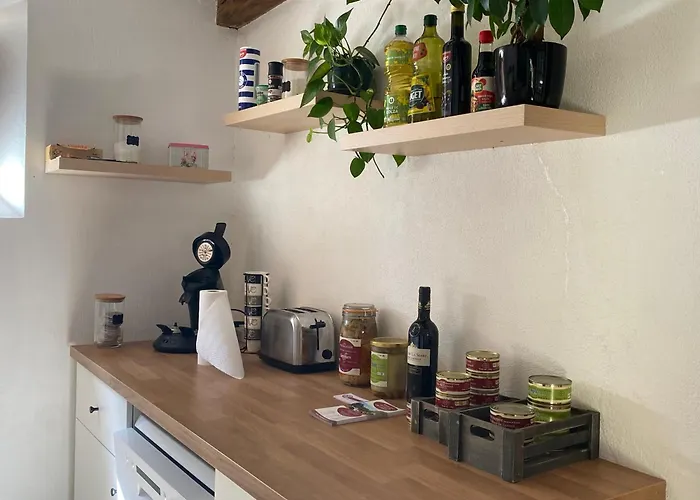 Fenil T3, Maison Avec Jardin Апартаменты Bellegarde (Gers)