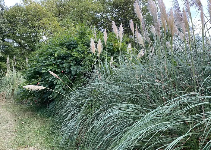 Апартаменты Fenil T3, Maison Avec Jardin Bellegarde (Gers)